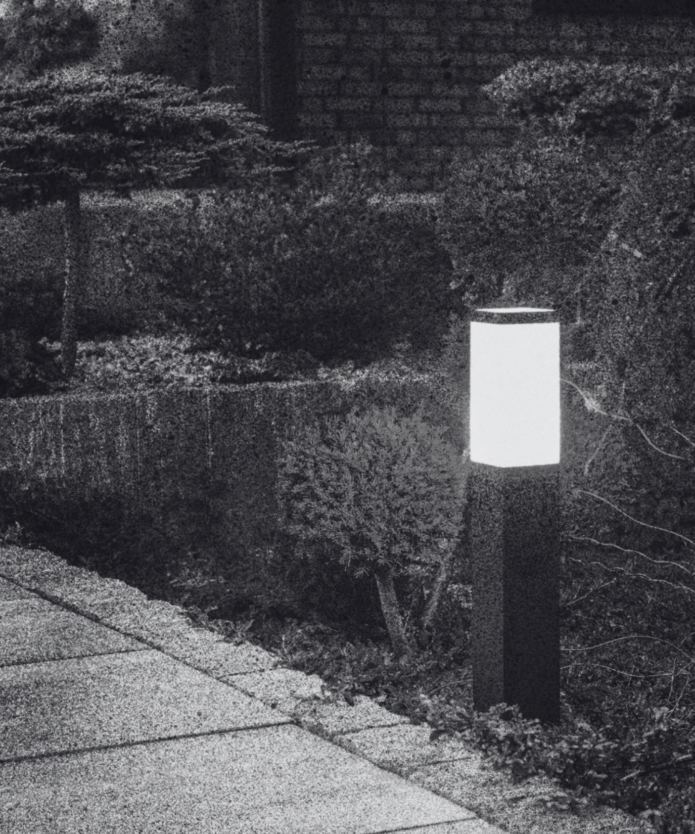 motion sensor light, motion sensor, presence sensor, occupancy sensor, true presence sensor,