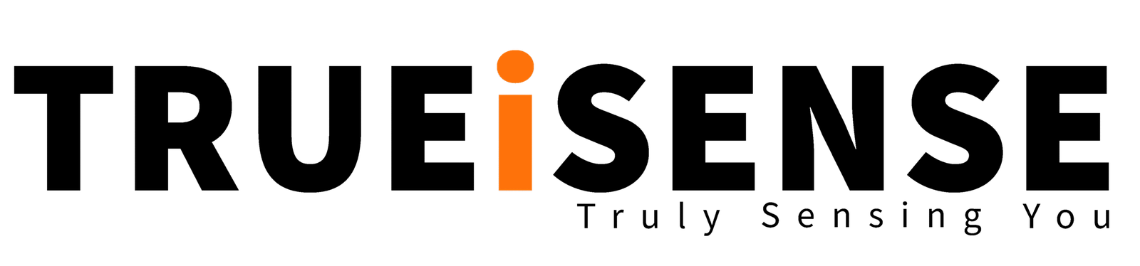 True Sense Logo - Motion Sensor Led Light